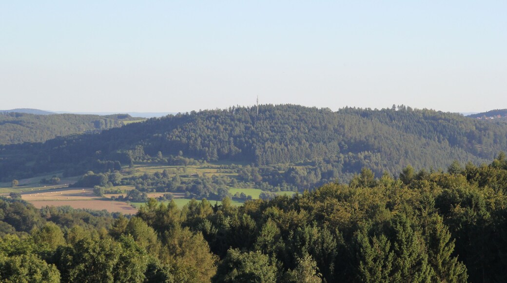 Der Glasberg vom Herrenberg bei Niedersteinbach aus gesehen