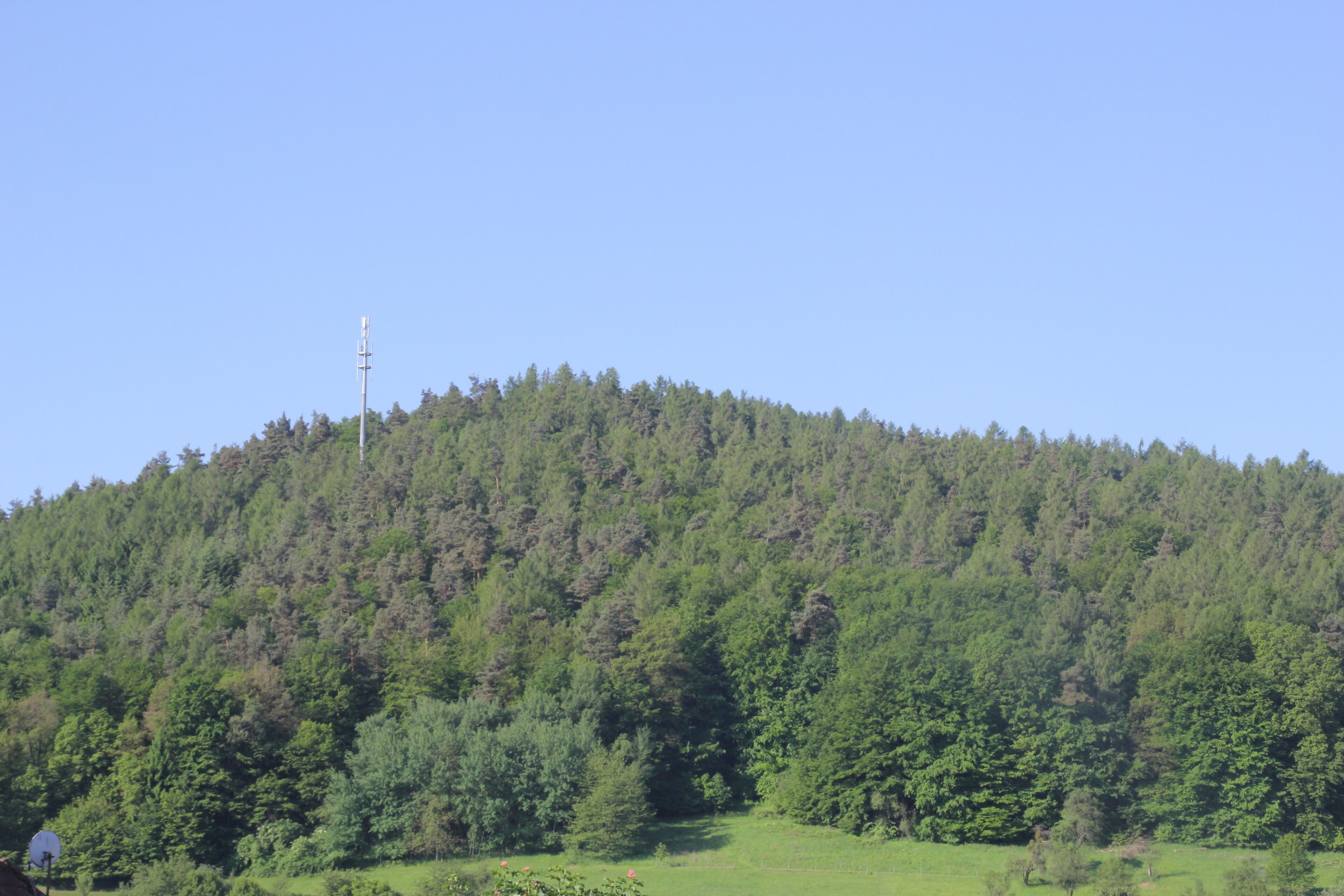 Die Daunert von Niedersteinbach aus gesehen