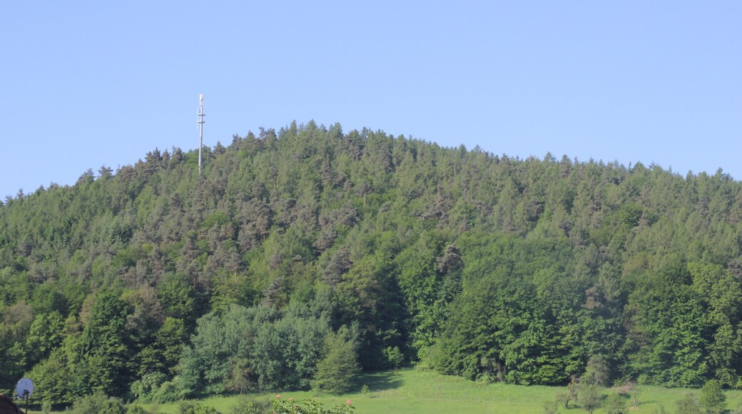 Die Daunert von Niedersteinbach aus gesehen