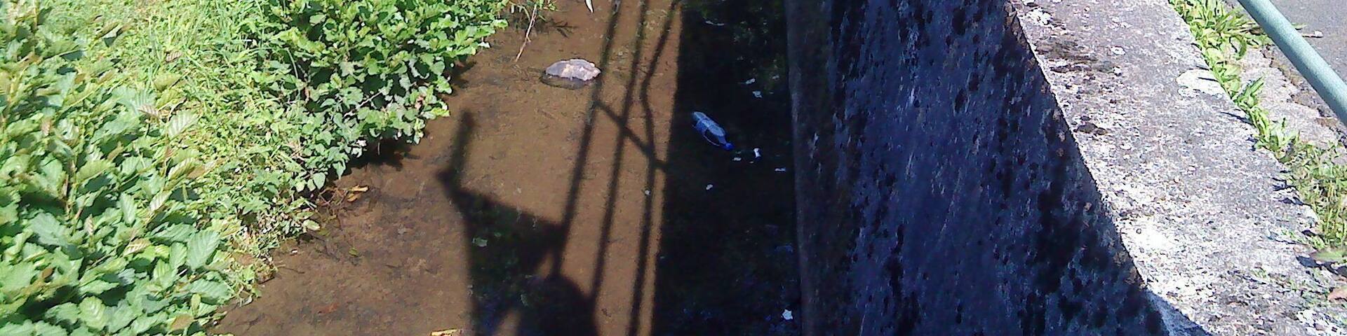 Der Krombach in Blankenbach