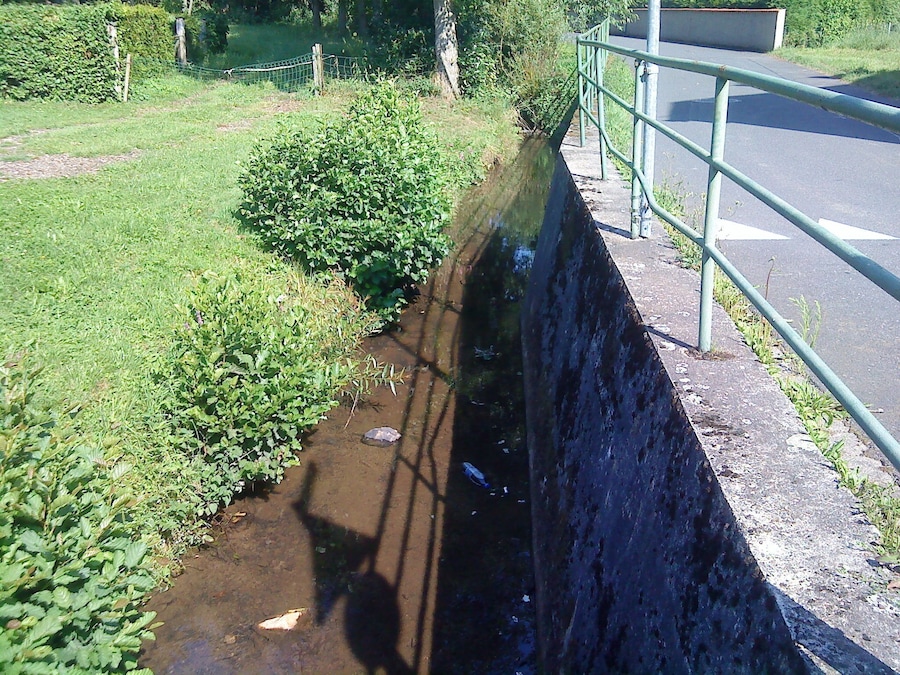 A narrow stream bordered by greenery and a metal railing alongside a road.