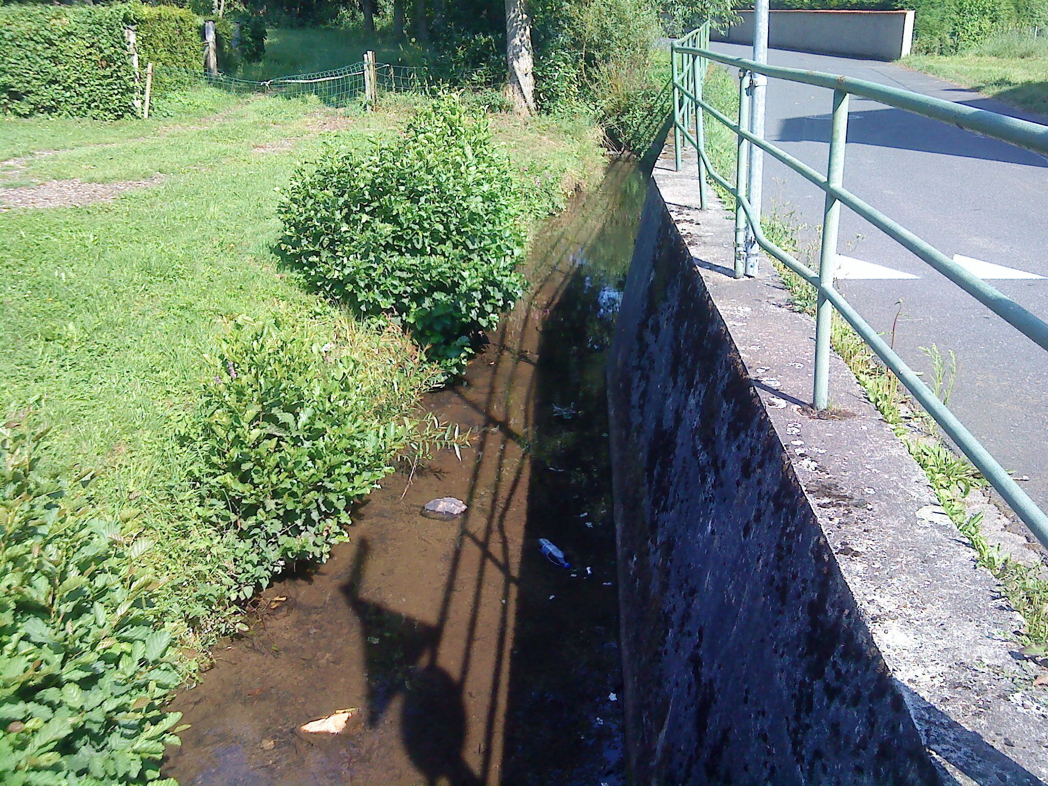 A narrow stream bordered by greenery and a metal railing alongside a road.