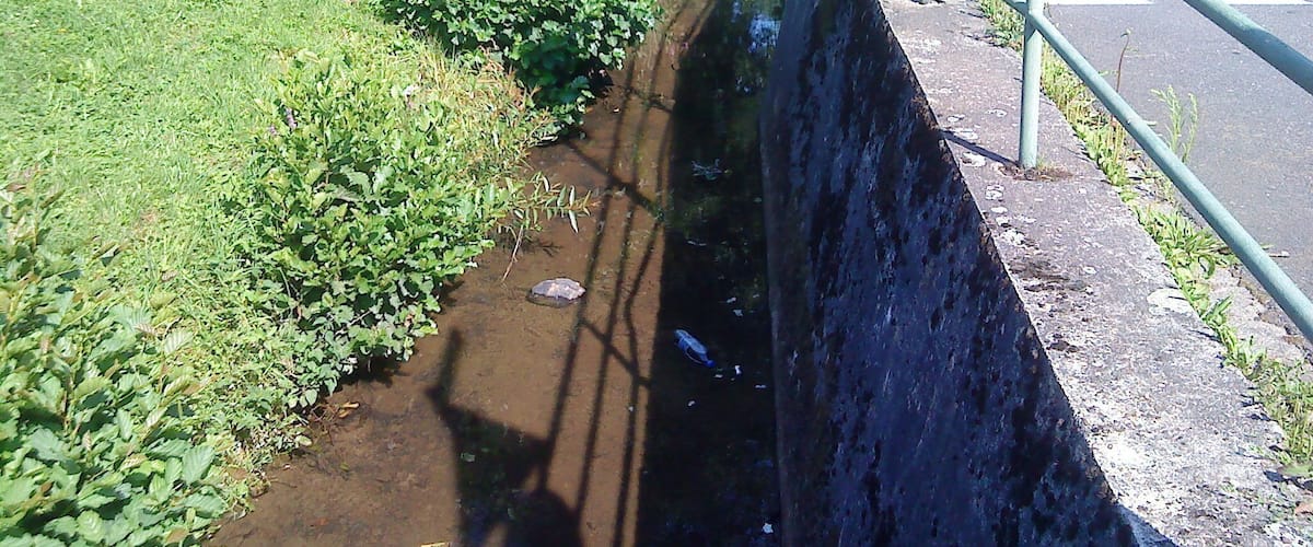 A narrow stream bordered by greenery and a metal railing alongside a road.