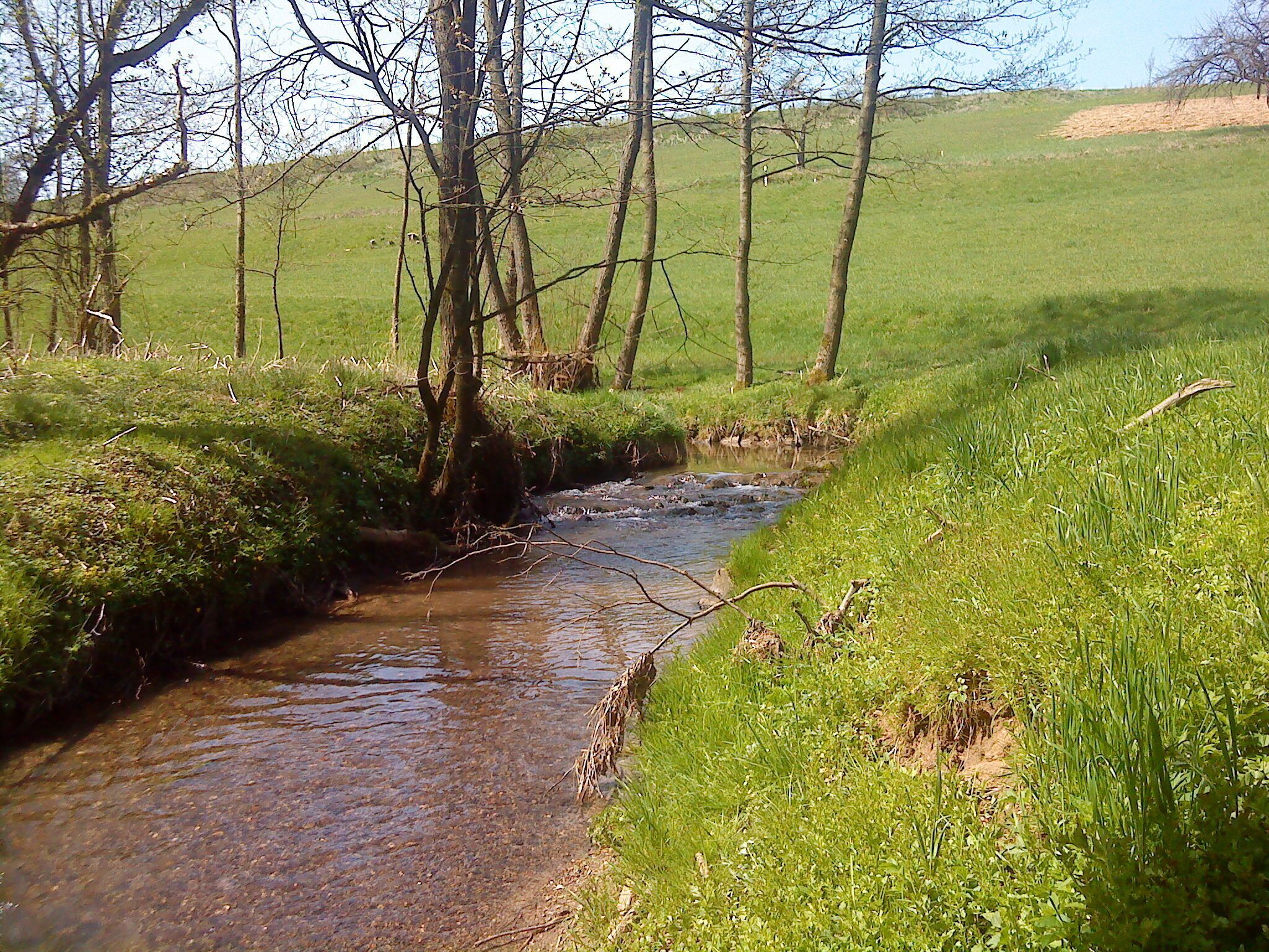 Der Reichenbach nach der Heimbacher Mühle bei Mömbris