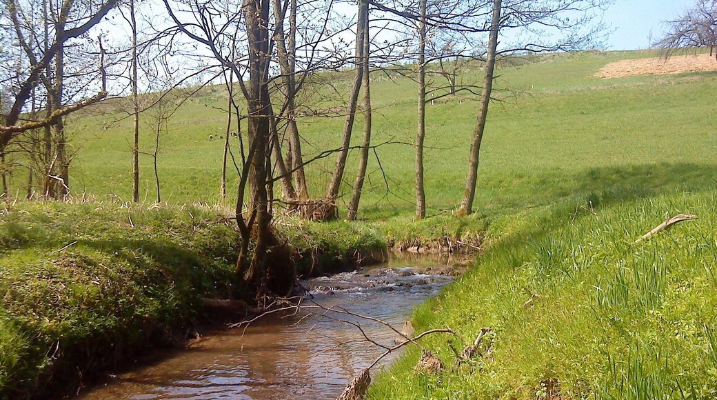 Der Reichenbach nach der Heimbacher Mühle bei Mömbris