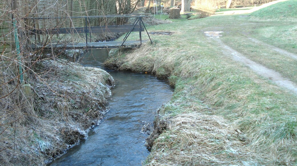 The Feldkahl in Schimborn