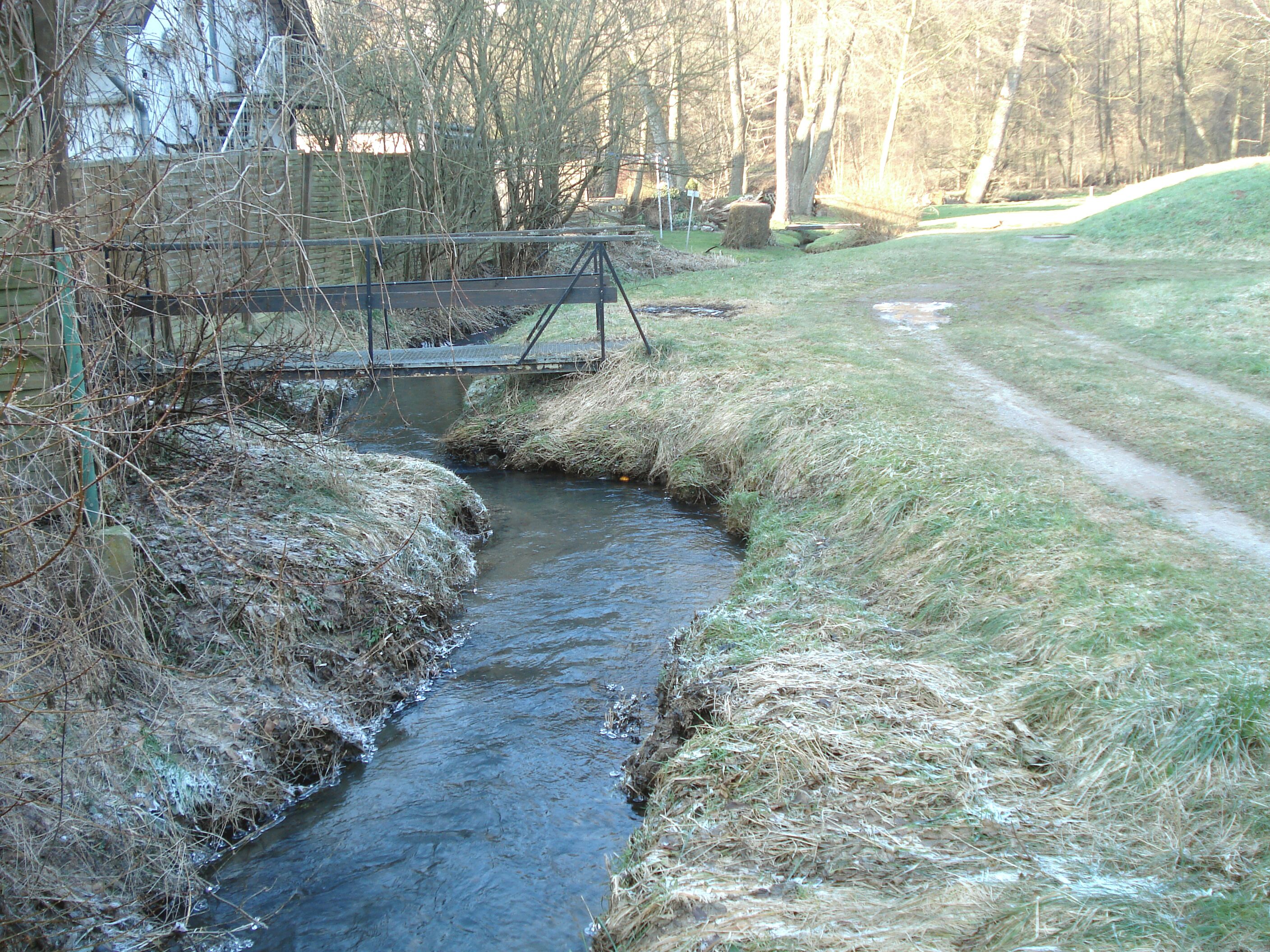 A small stream flowing through a grassy area with a wooden bridge and a dirt path nearby.