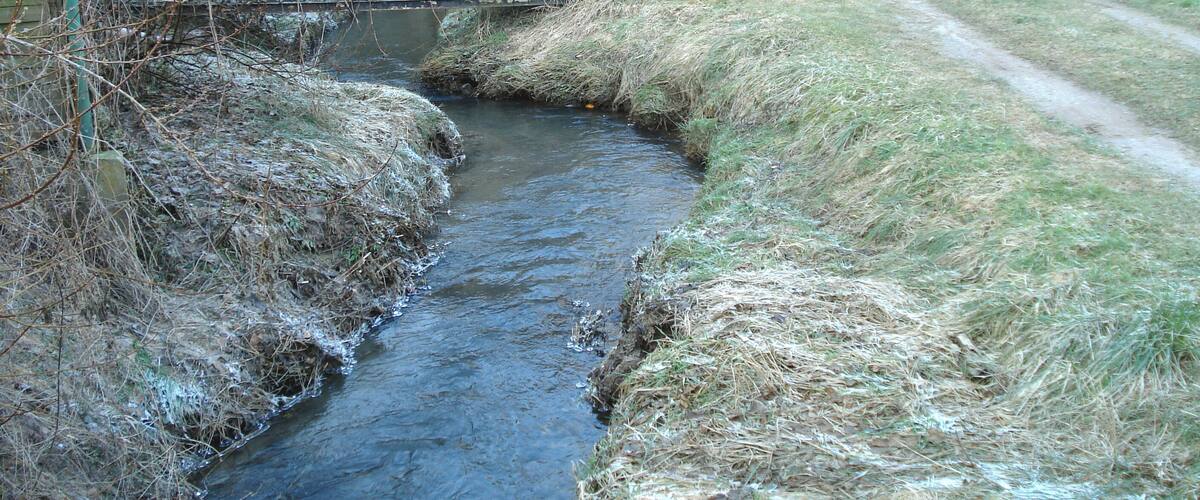 A small stream flowing through a grassy area with a wooden bridge and a dirt path nearby.