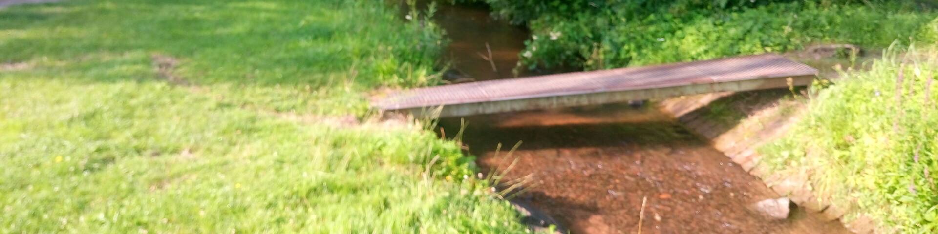 Der Fechenbach mündet in den Main (hinten)