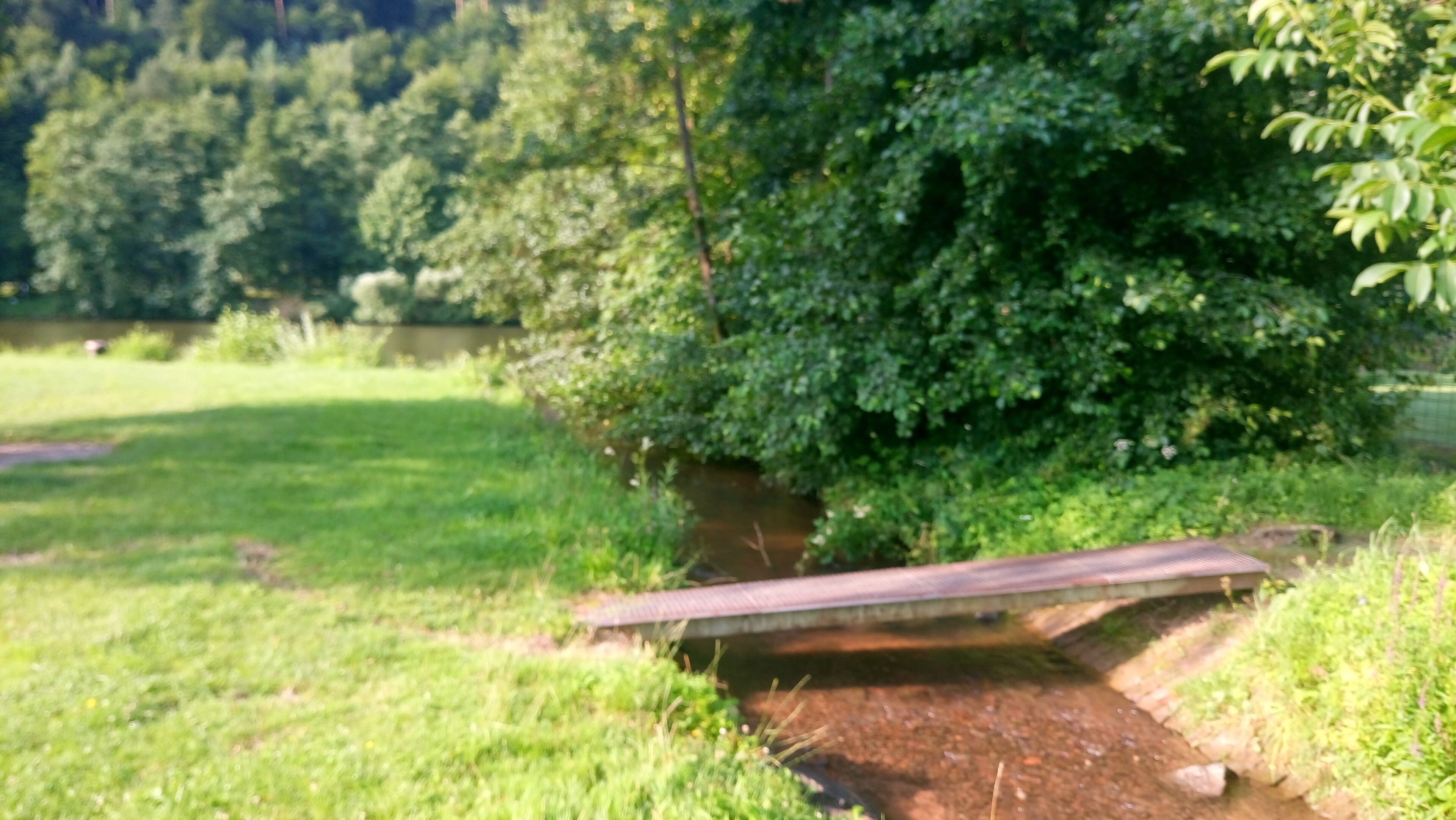 A wooden bridge over a small stream in a grassy area with dense trees in the background.