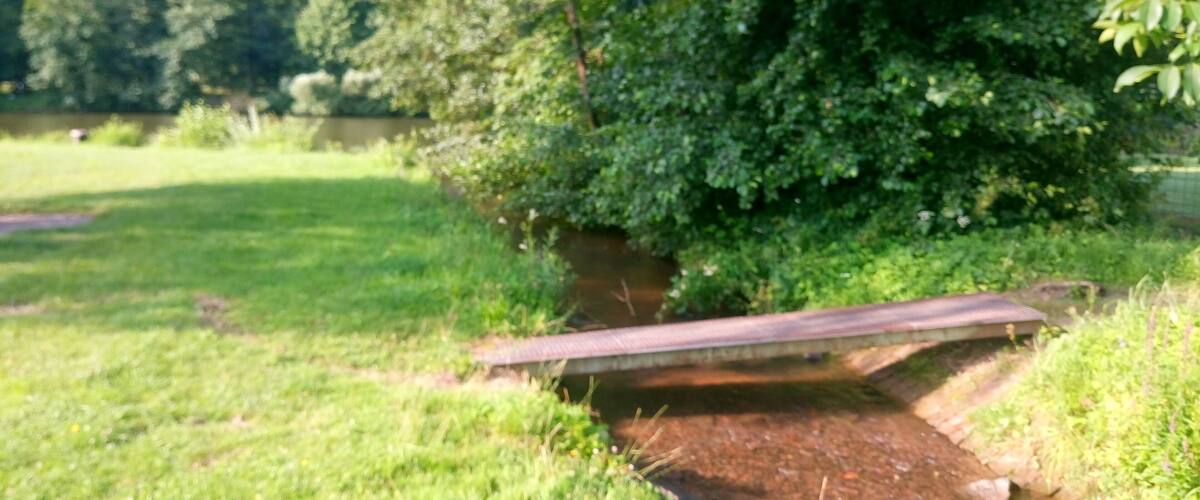 A wooden bridge over a small stream in a grassy area with dense trees in the background.