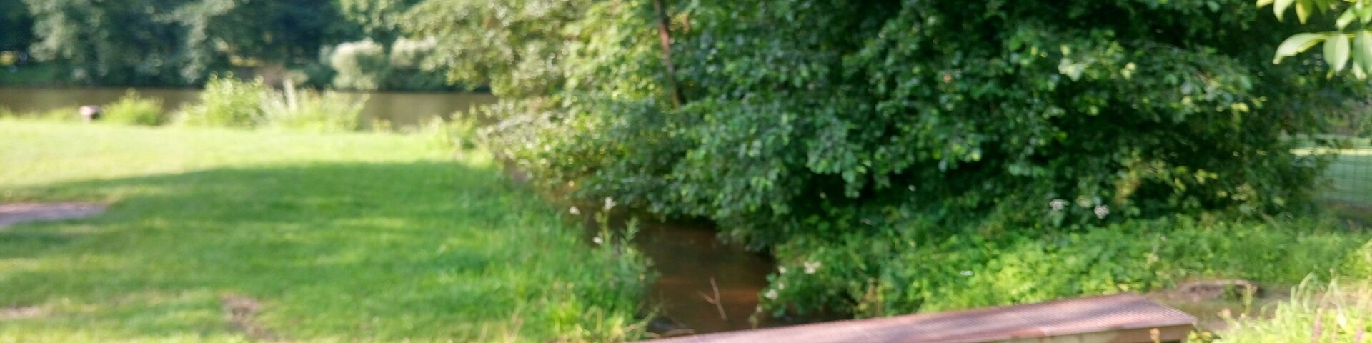 A wooden bridge over a small stream in a grassy area with dense trees in the background.