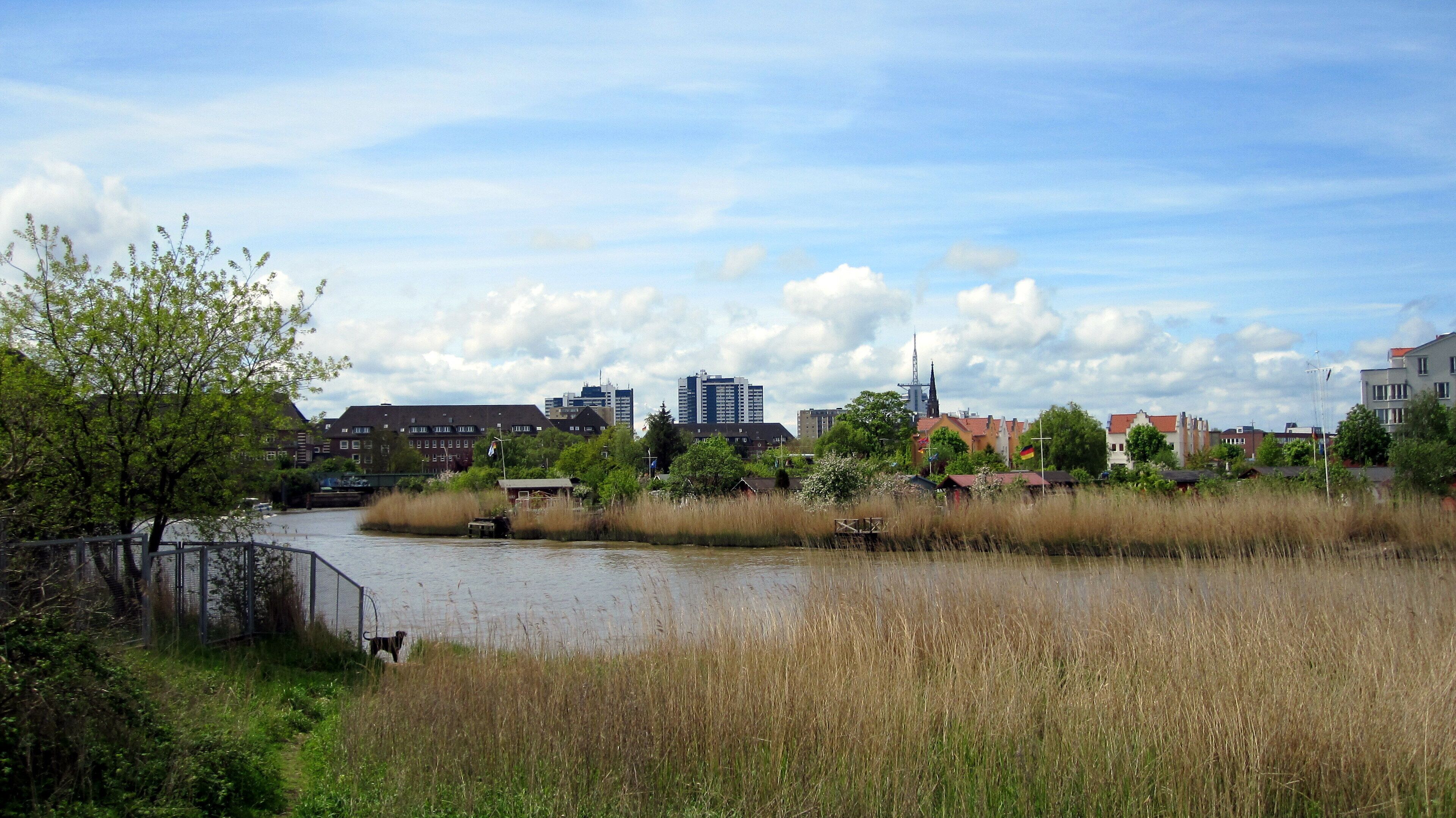 A river with tall grass in the foreground, a bridge, and buildings in the background.