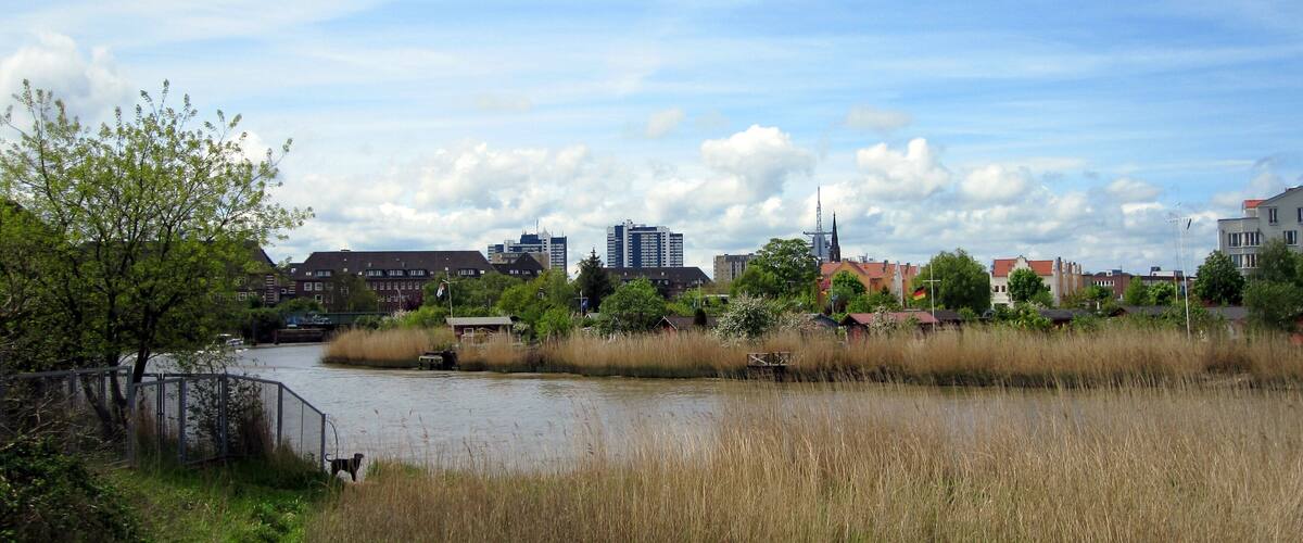 A river with tall grass in the foreground, a bridge, and buildings in the background.