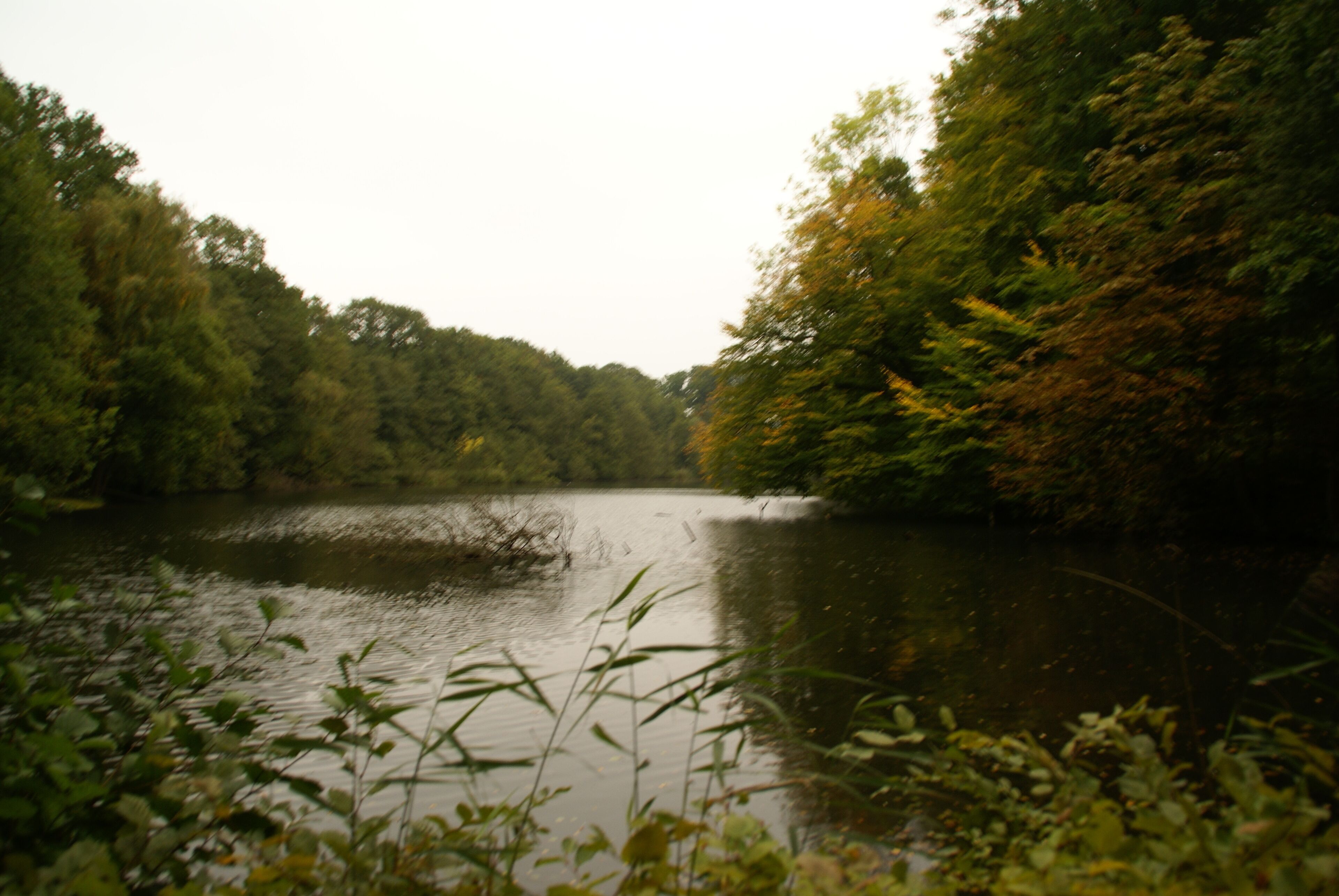 Bergstedt (Germany): Mill Pond of the Saselbek close to its confluence with the Alster