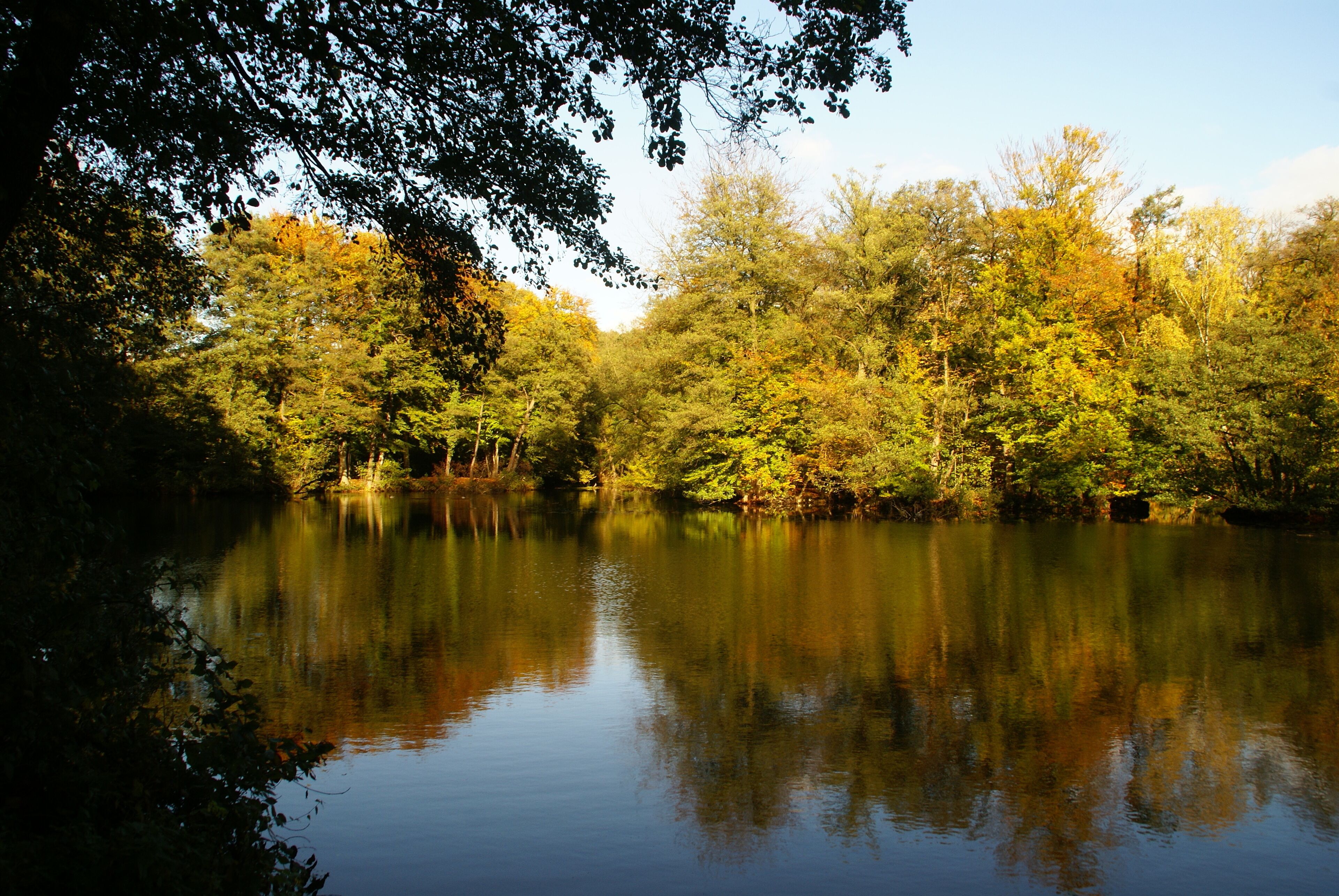 Hamburg (Ohlstedt), Germany: The pond Rodenbeker Teich in the natural reserve Rodenbeker Quellental