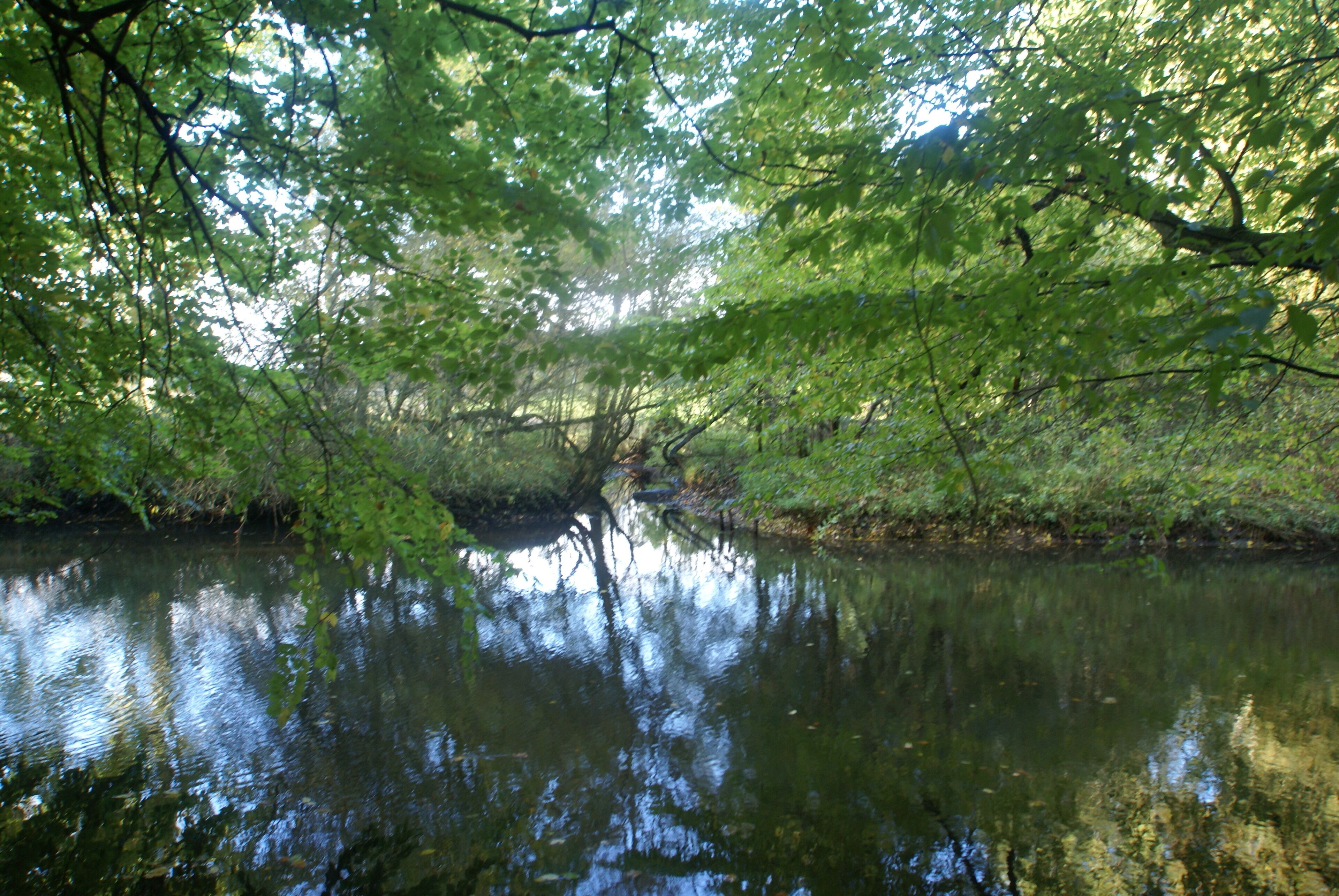 Hamburg (Germany): Confluence of the river Horstbek and the Alster