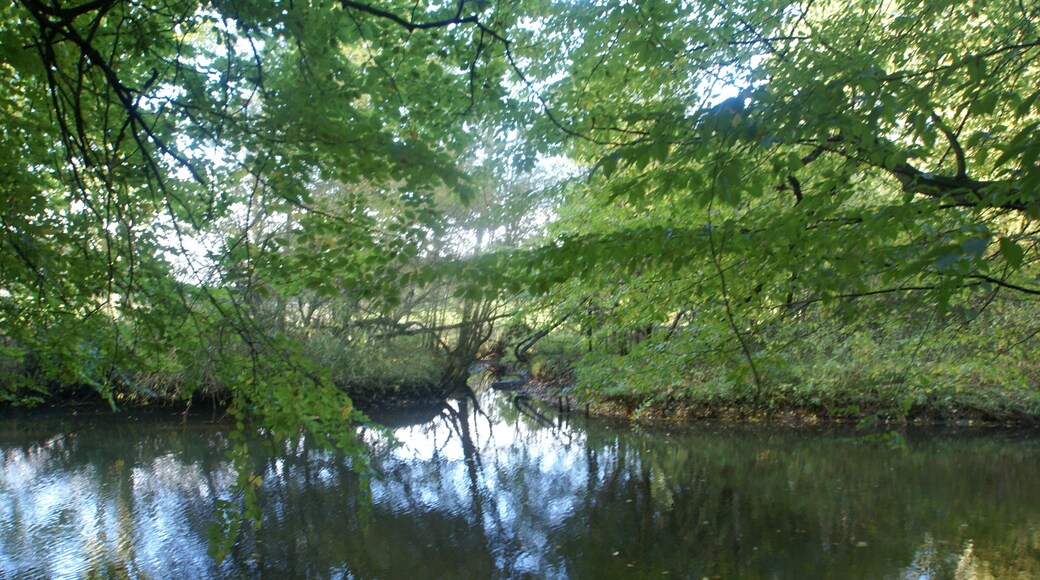 Hamburg (Germany): Confluence of the river Horstbek and the Alster