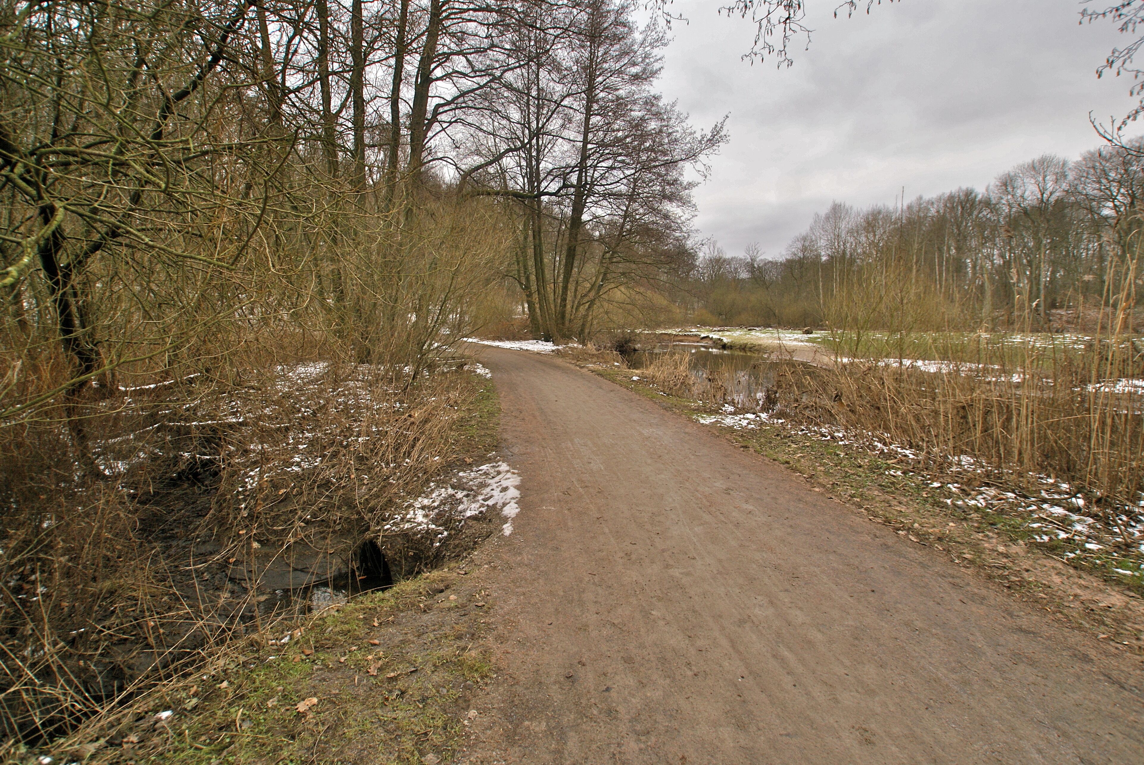 Hamburg (Bergstedt), Germany: Confluence of the rivers Lohbek (left) and Alster (right)