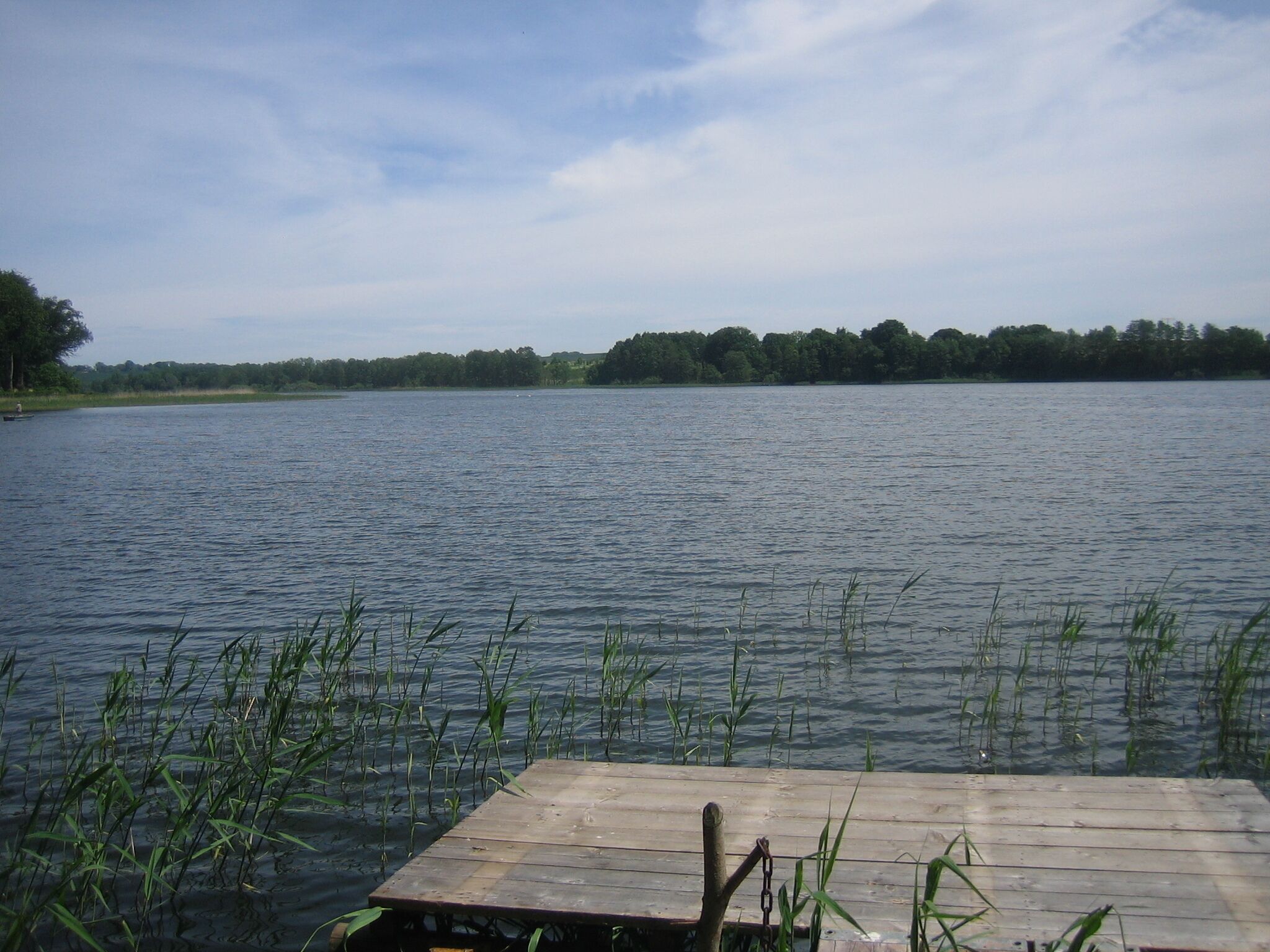 A calm lake with a wooden dock extending into the water, surrounded by tall grasses and trees in the background.