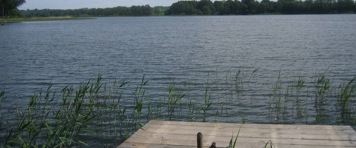 A calm lake with a wooden dock extending into the water, surrounded by tall grasses and trees in the background.