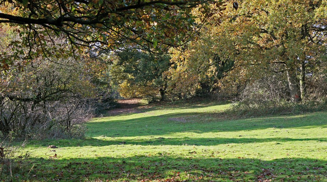 Meppen, Borkener Paradies