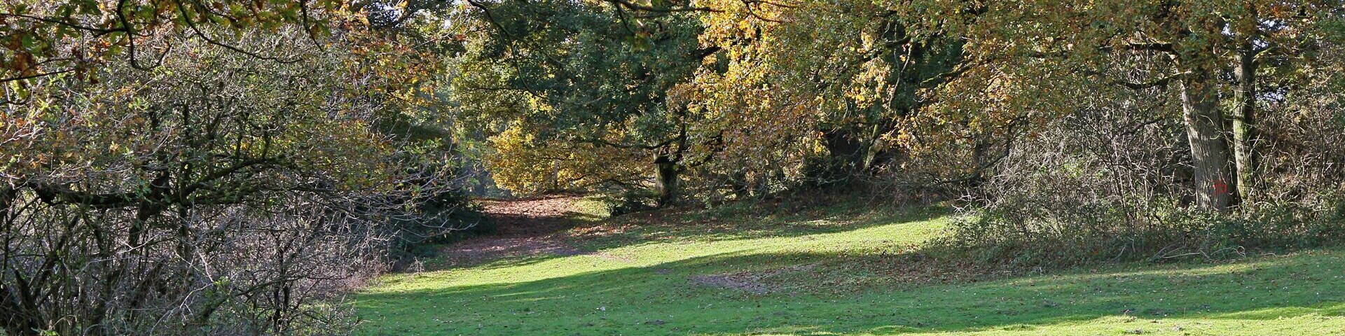Meppen, Borkener Paradies