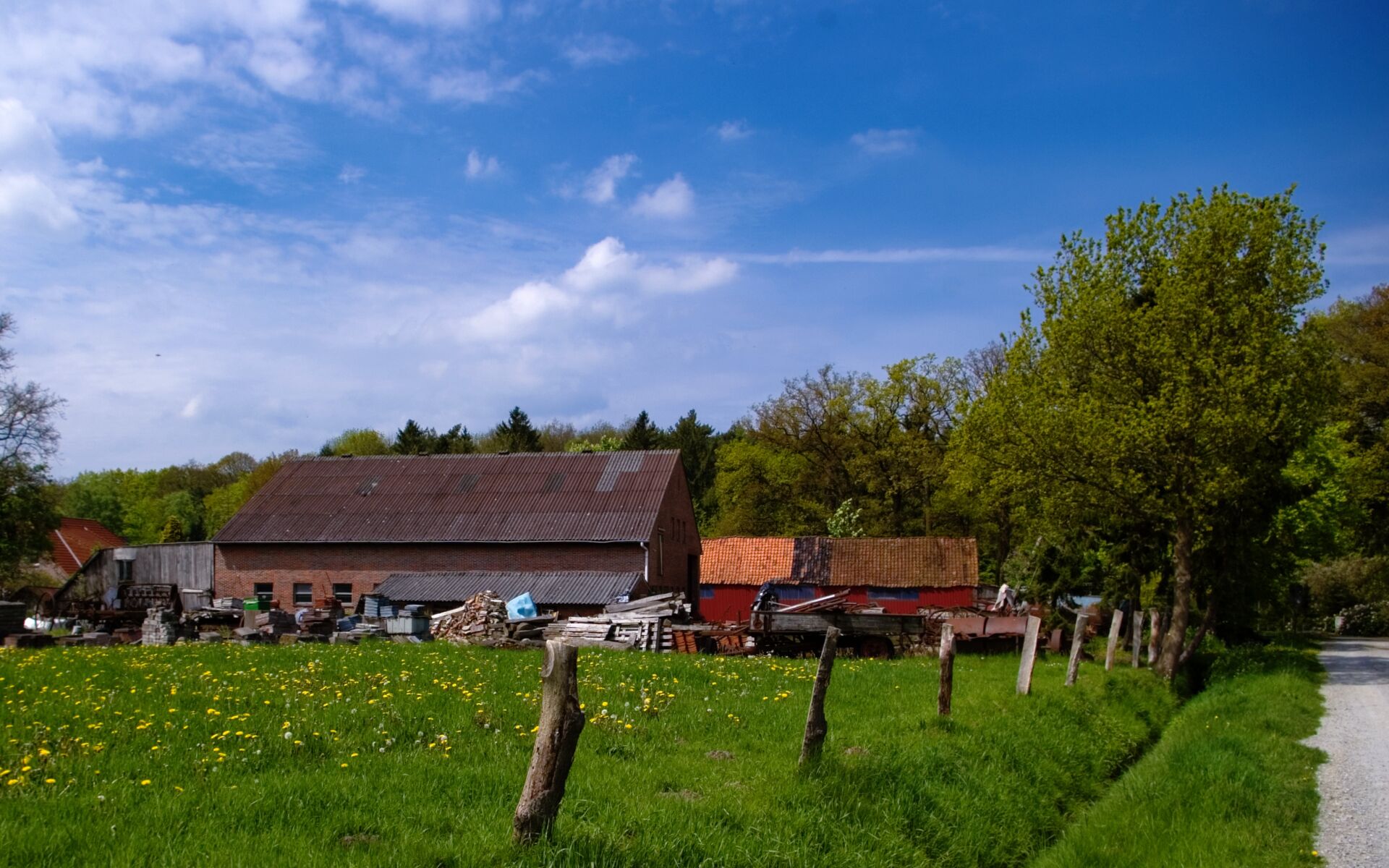 A rural landscape with a barn, a field of yellow flowers, and a clear blue sky.