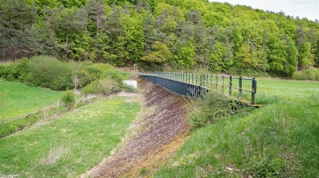 Wasserrückhaltebauwerk am Nordhang des Ibergs, Naturschutzgebiet Iberg bei Welda in Warburg-Welda, Kreis Höxter