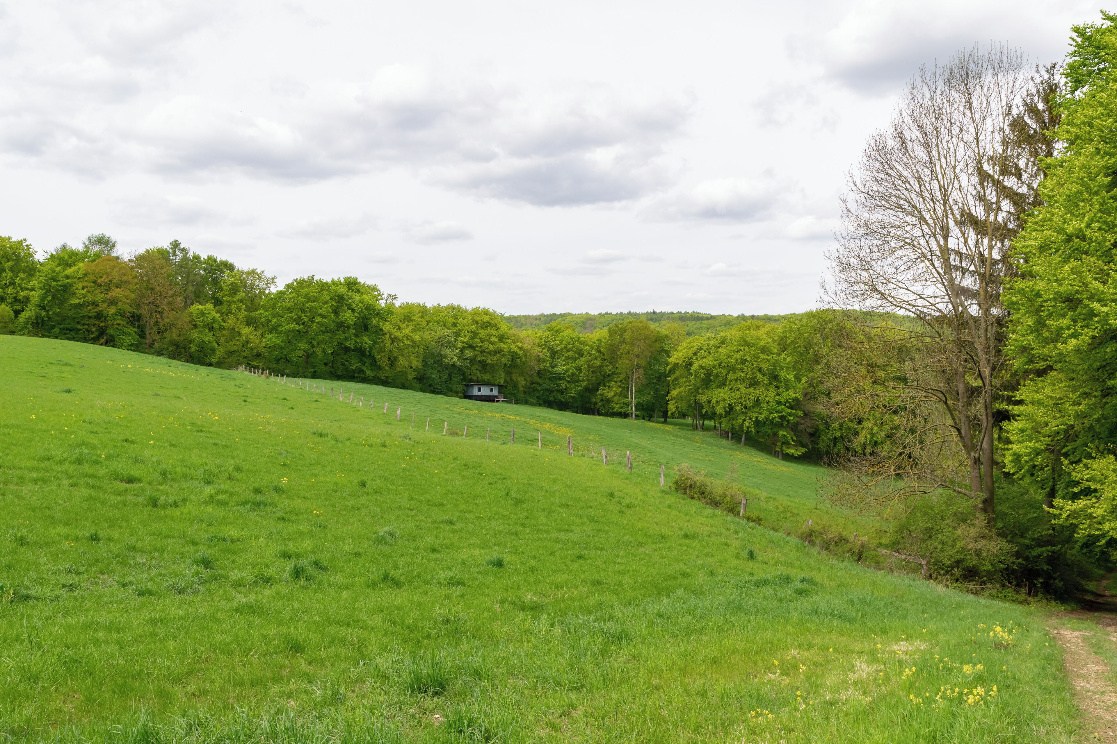 Naturschutzgebiet Iberg bei Welda in Warburg-Welda, Kreis Höxter