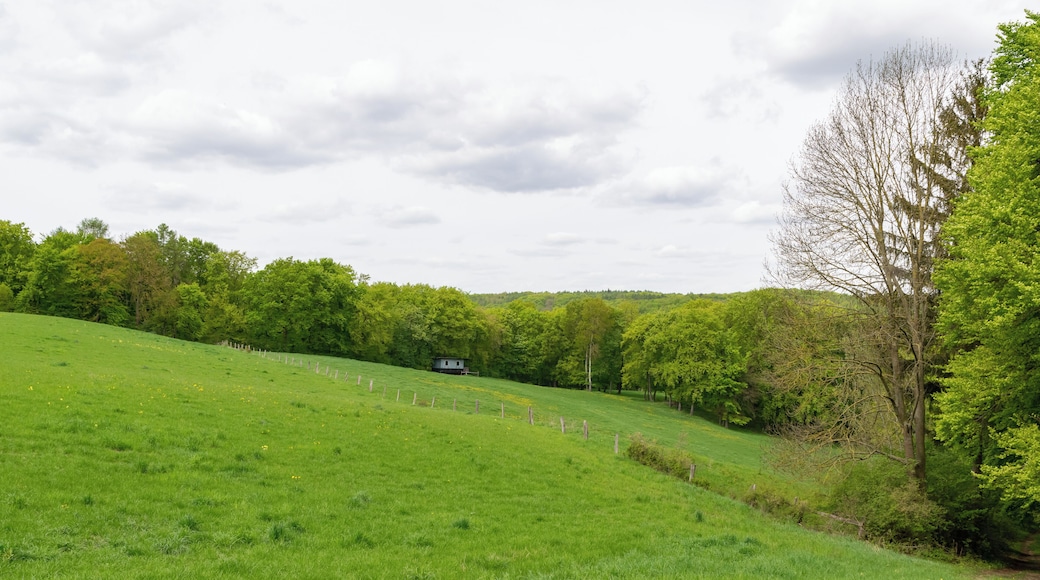 Naturschutzgebiet Iberg bei Welda in Warburg-Welda, Kreis Höxter