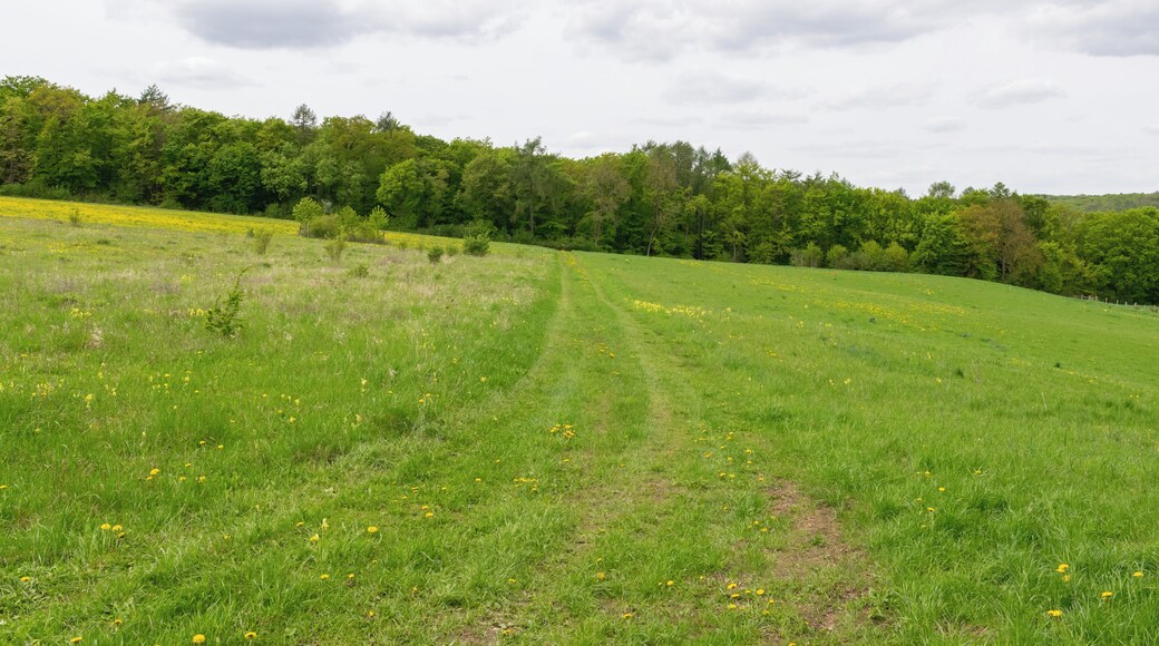 Naturschutzgebiet Iberg bei Welda in Warburg-Welda, Kreis Höxter