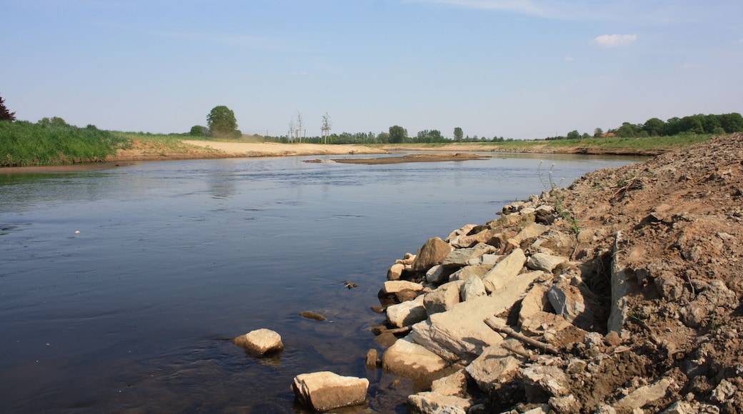 renaturierte Ems in Greffen