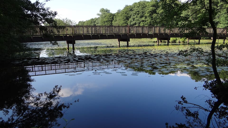 "Niepkuhlen" and footbridge in the "Niepkuhlen" nature reserve in Krefeld, Germany