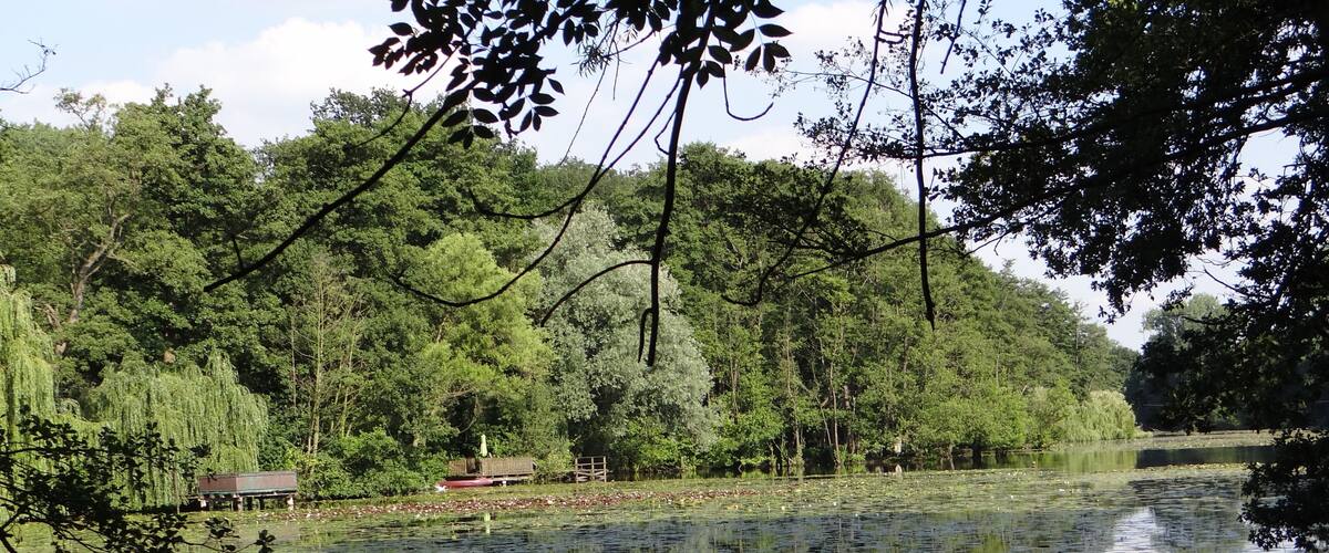 "Niepkuhlen" in the "Niepkuhlen" landscape protected area in Krefeld, Germany