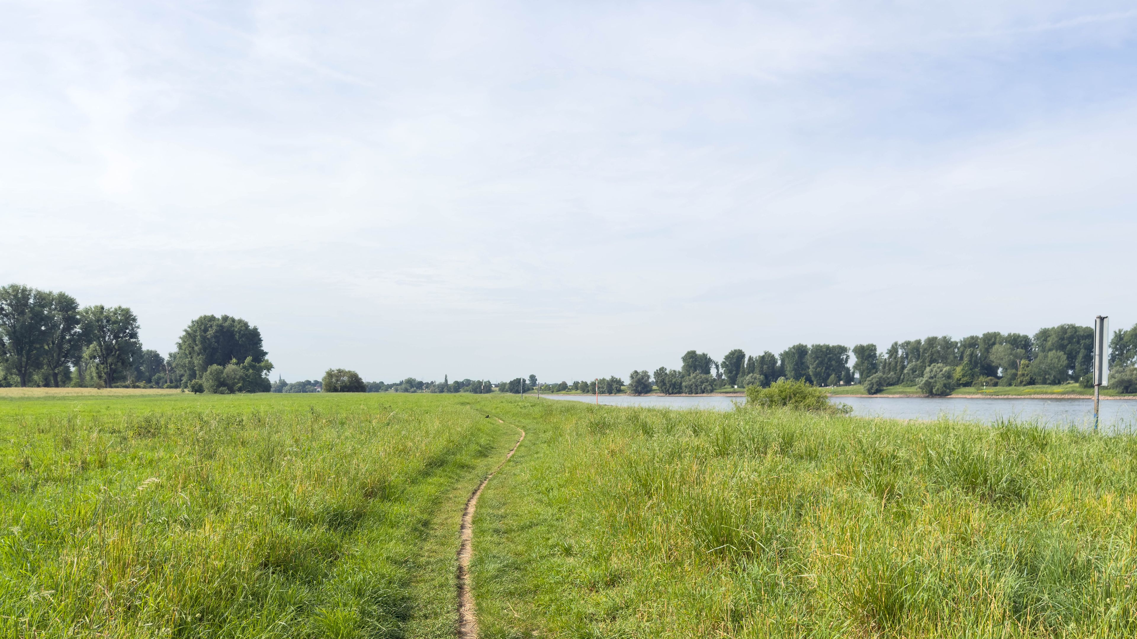 Un champ verdoyant avec un sentier de terre qui mène à un plan d’eau, entouré d’arbres et sous un ciel dégagé.