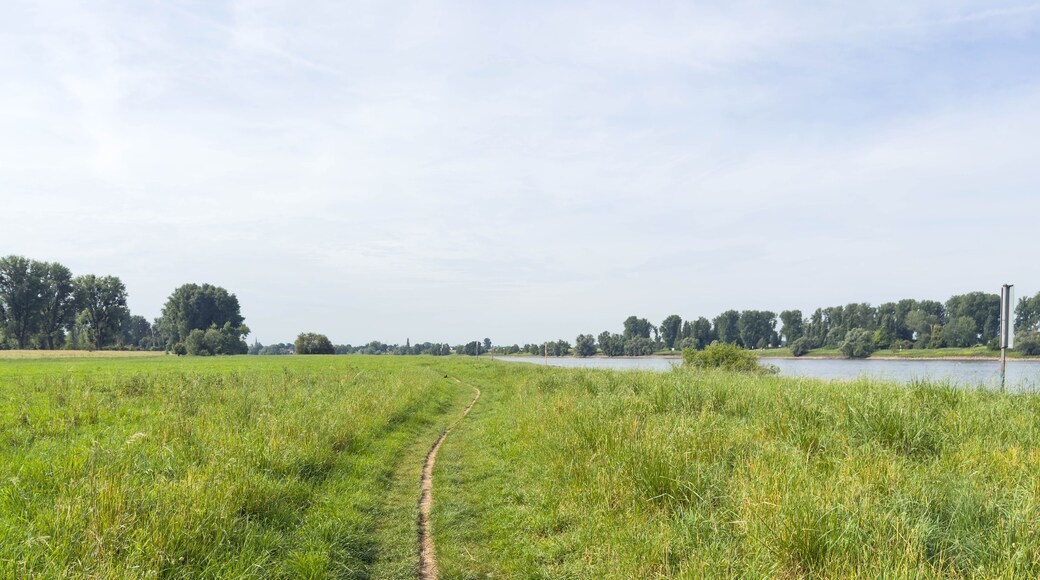 Un champ verdoyant avec un sentier de terre qui mène à un plan d’eau, entouré d’arbres et sous un ciel dégagé.