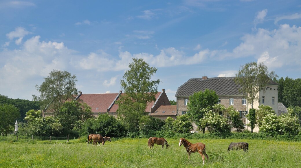 Un champ verdoyant où paissent des chevaux, entouré d’arbres et de maisons.