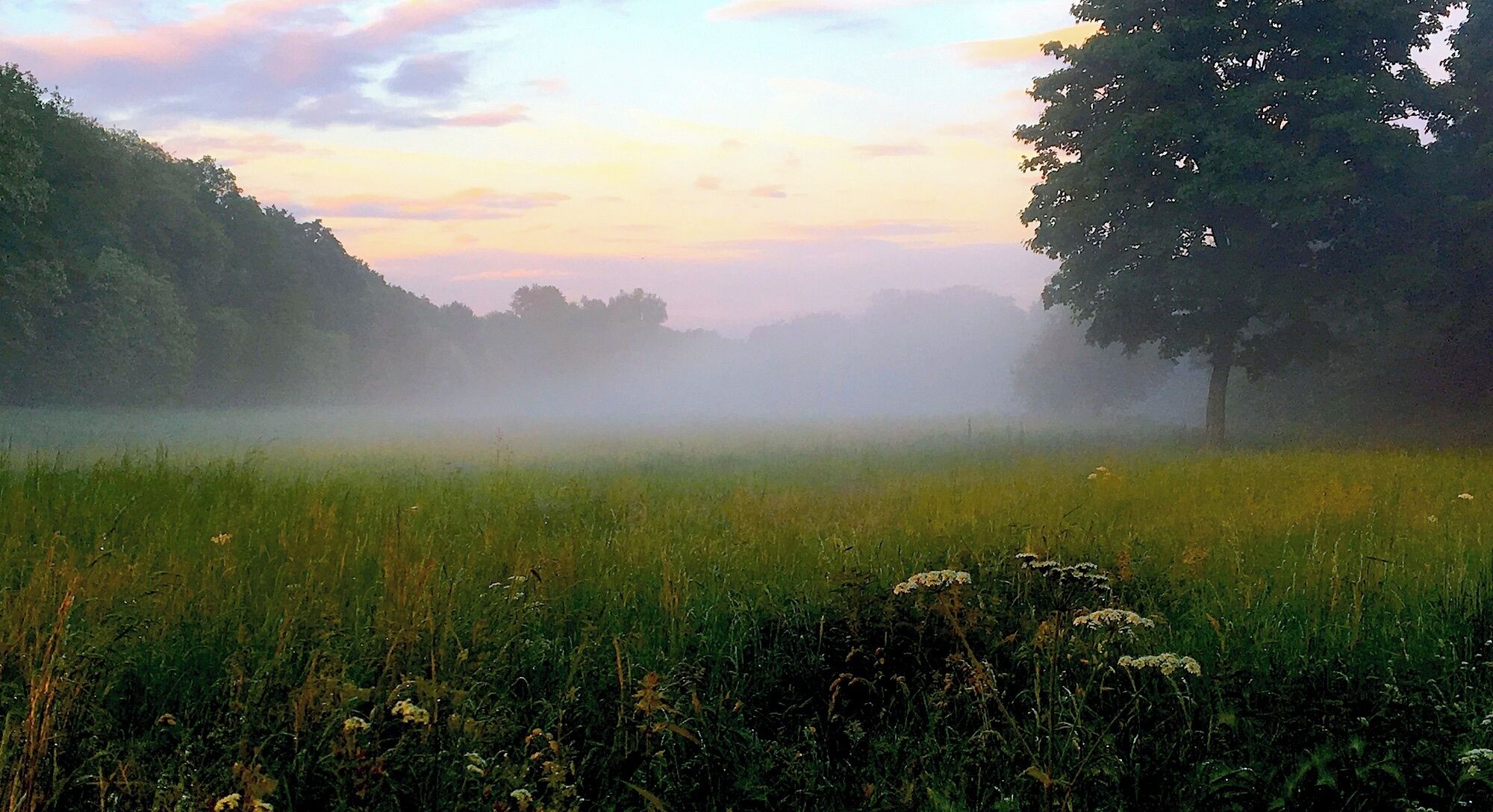 Вечерняя природа Бенрата (Дюссельдорф). 18 мая 2017.