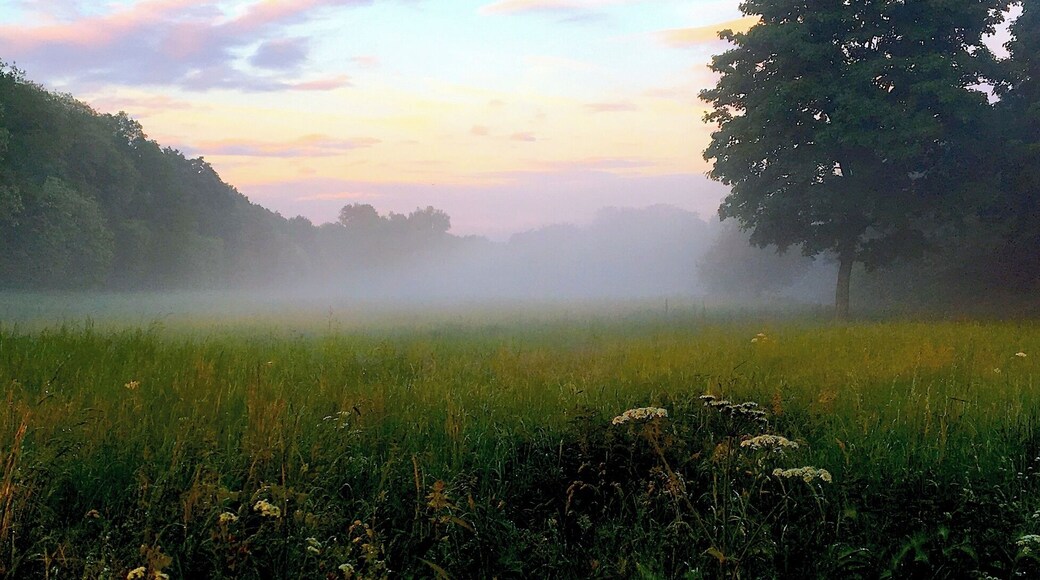 Вечерняя природа Бенрата (Дюссельдорф). 18 мая 2017.