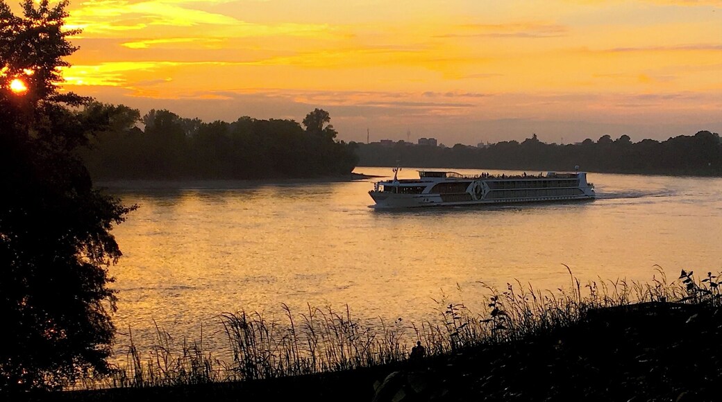 Вечерняя природа Бенрата (Дюссельдорф). 18 мая 2017.