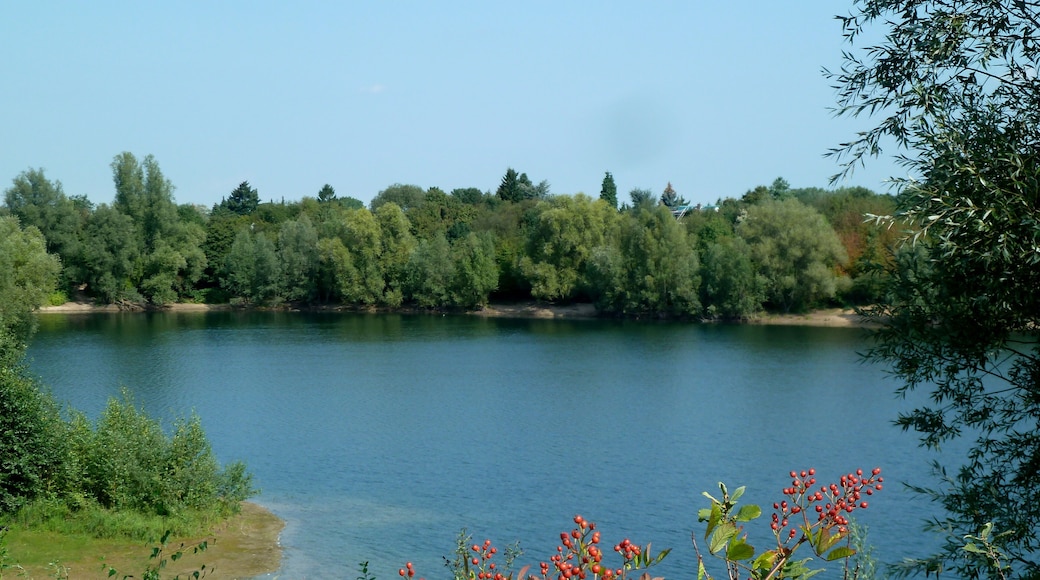 Baggersee an der Alten Kalkumer Straße
