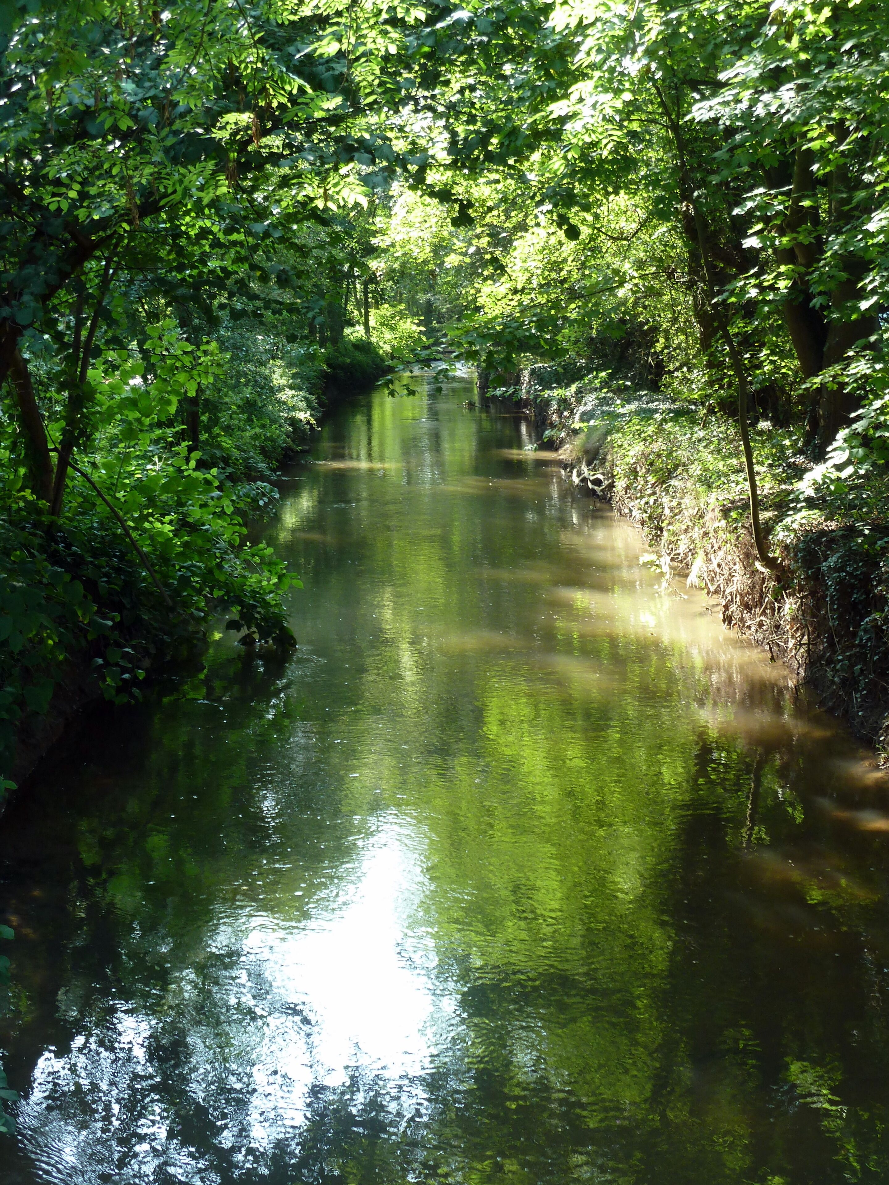 Der Angerbach am Angermunder See