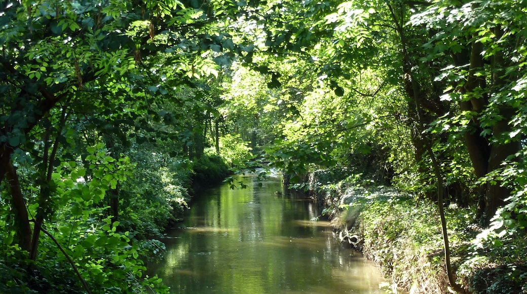 Der Angerbach am Angermunder See
