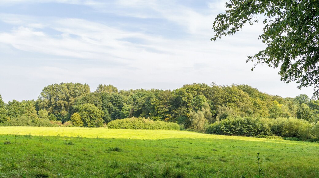 Landschaft um den Norderteich
