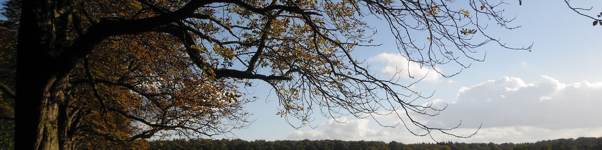 Weide beim Annaberger Hof, 10.2010