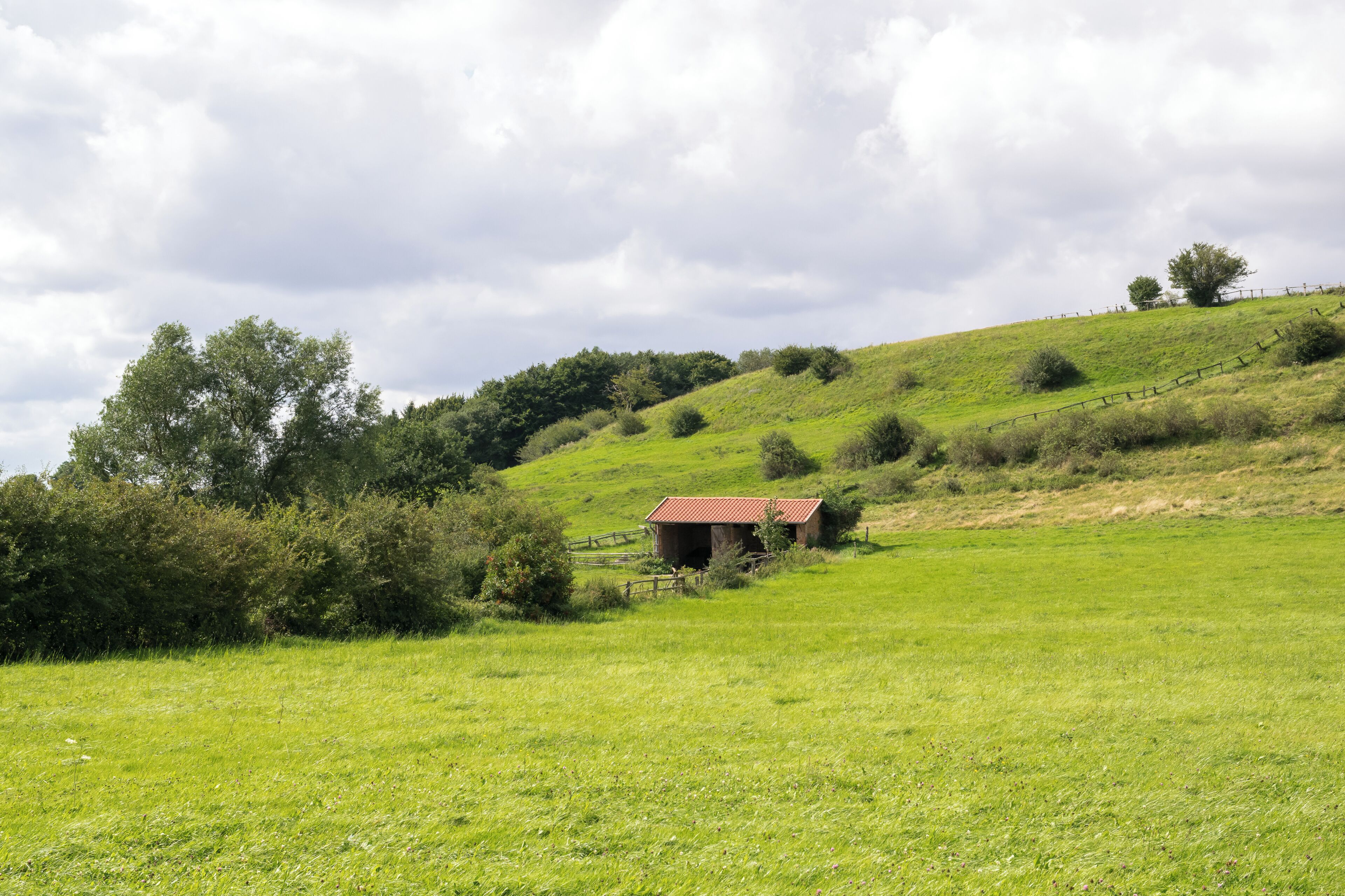 Naturschutzgebiet Sauertal, hier Abschnitt in Lichtenau-Kleinenberg, Kreis Paderborn