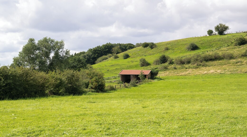 Naturschutzgebiet Sauertal, hier Abschnitt in Lichtenau-Kleinenberg, Kreis Paderborn