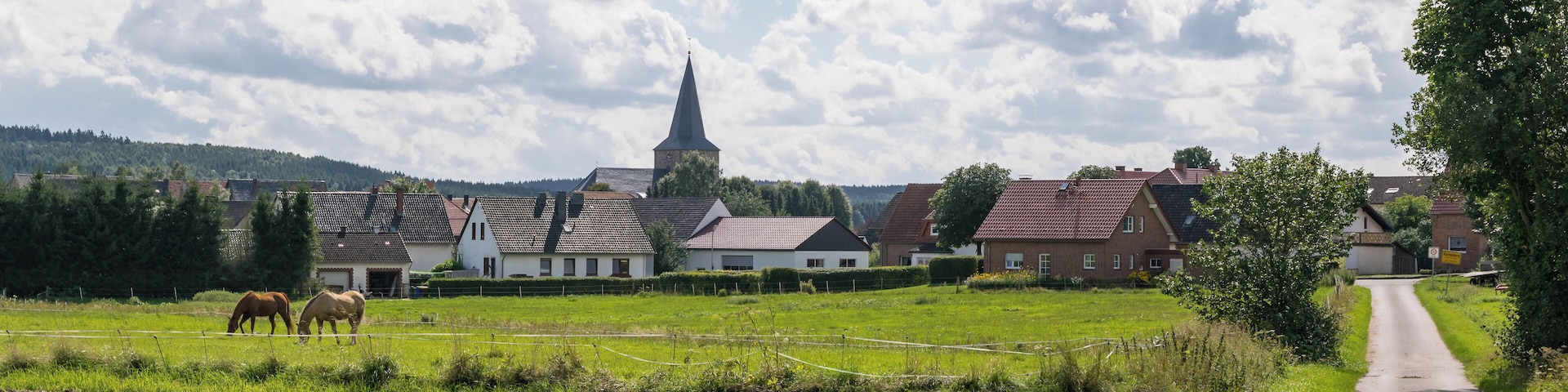 Blick auf Kleinenberg aus nordöstlicher Richtung
