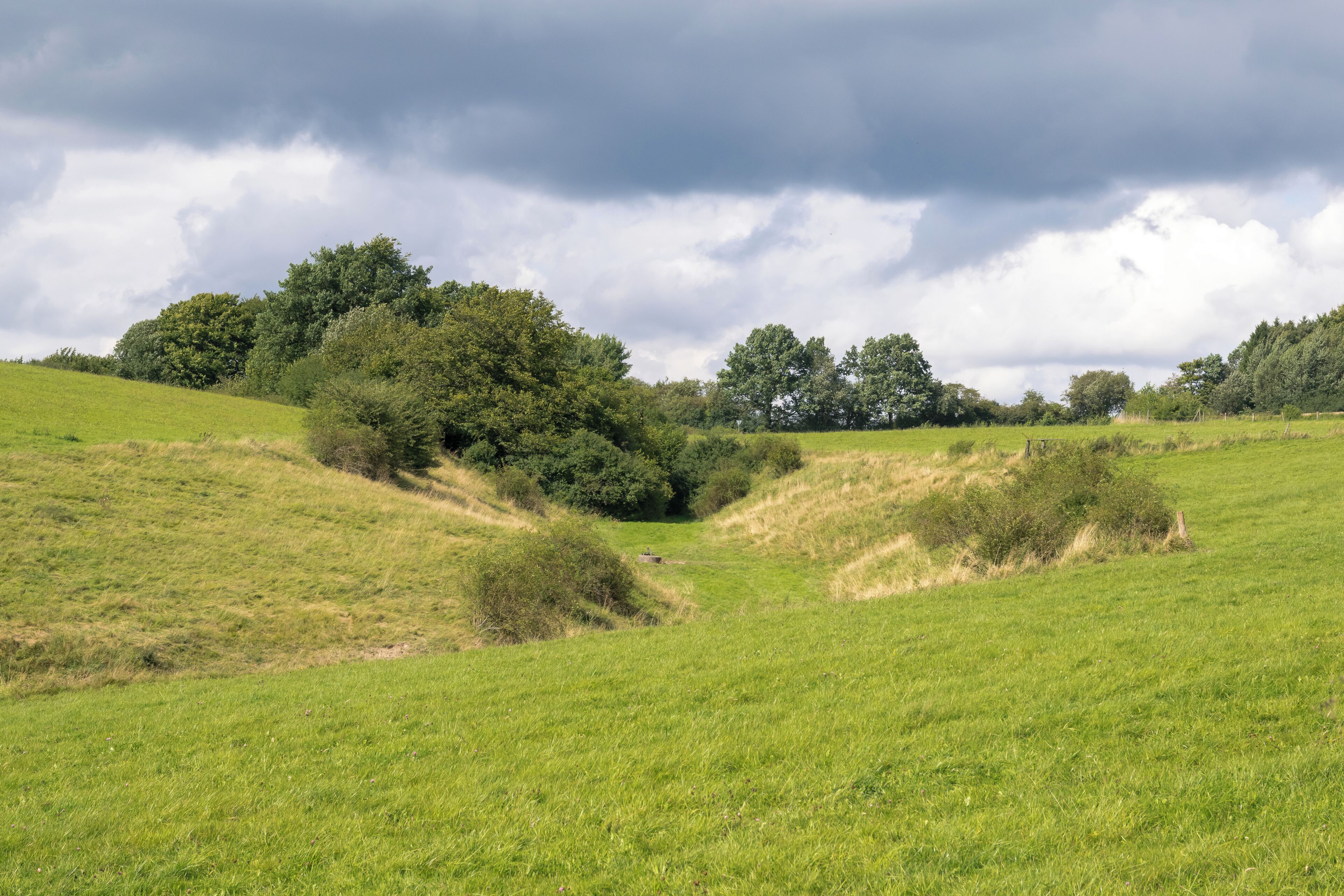 A grassy field with rolling hills and scattered trees under a cloudy sky.